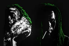 Duality